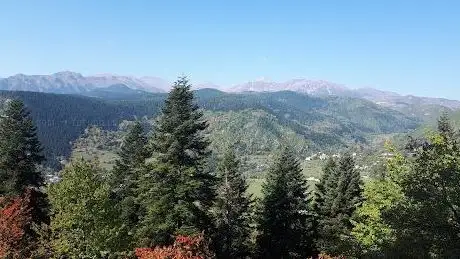 Photo de Şavşat Stream