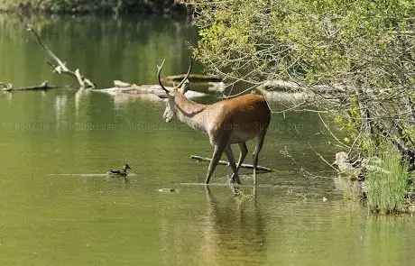 Photo de Point d'Observation