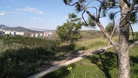 Photo de Freedom Park