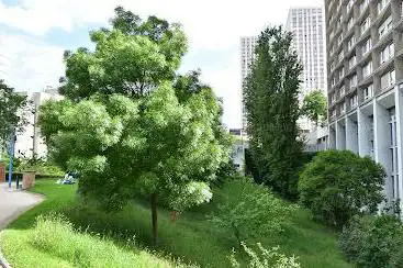 Photo de square Ulysse-Trélat