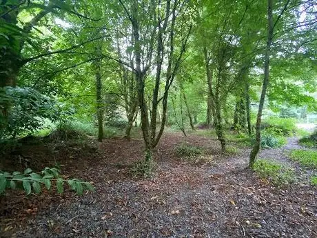 Photo de Glenshelane Forest Recreational Area