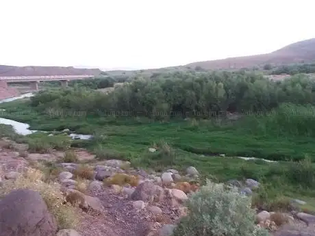 Foto de منتزه تويين