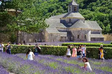 Photo de Guides Touristiques Provence - Côte d'Azur - Grand Sud - Visites Guidées & Excursions Privées -