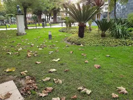 Photo de Alameda de MarÃ­n 