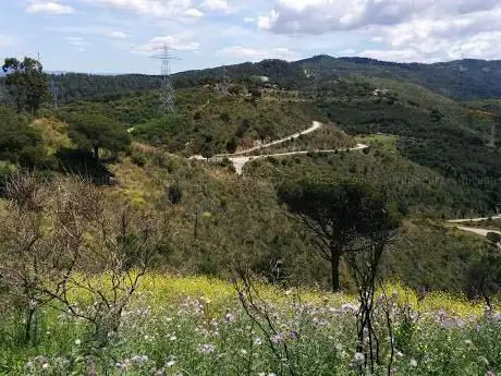Photo de Turó d'en Segarra