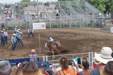 Photo of Festival Western St-André-Avellin Professional Rodeo