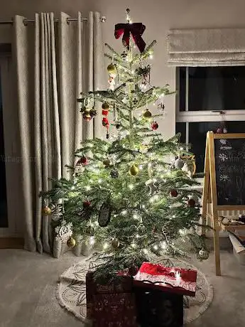 Photo de The Nordmann Christmas Tree Sale & Delivery wimbledon