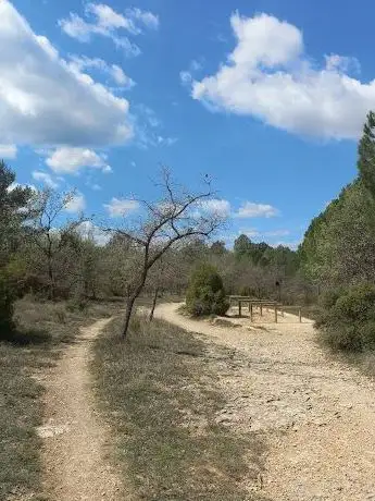 Photo of Base de loisirs de la Garenne à Peynier et théâtre de verdure