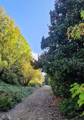 Photo de Arboretum de La Fosse