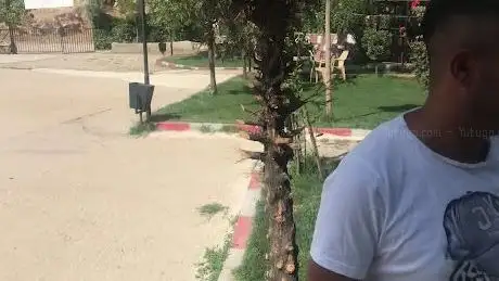 Photo de Şırnak Ercan Aile Çay Bahcesi&Oyun Parkı
