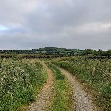 Photo de Edenmore Bog Walk