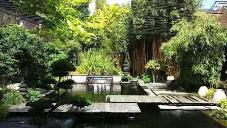 Photo of Le Sentier du Chimonobambusa