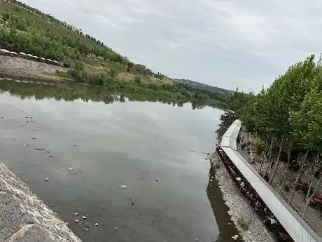 Photo de On Gözlü