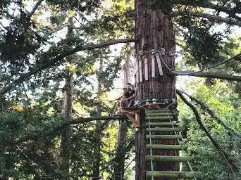 Photo de Sequoia Vertigo