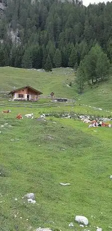 Photo de Forcella della Neve