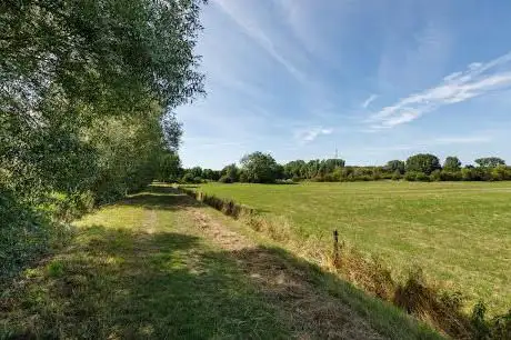 Photo de Dorent Agentschap Natuur en Bos (ANB)