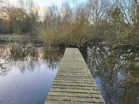 Photo de The Withey Beds LNR
