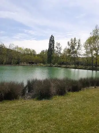 Photo de Lacs de Cournères