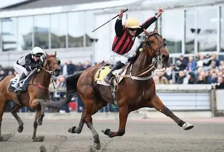 Photo de Ã…bytravet