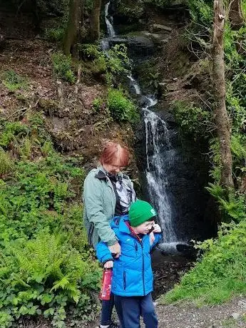 Edenvale Woods and Waterfall