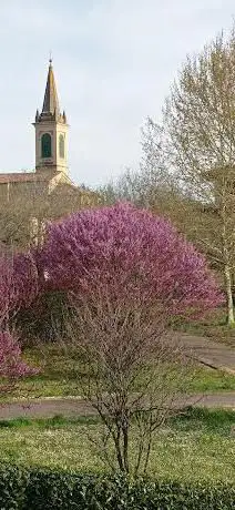 Photo de Parco 8 Marzo