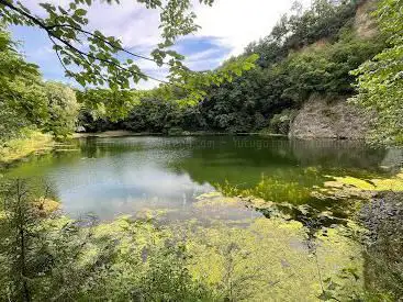 Photo de Basal-See