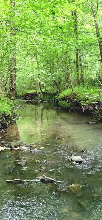 Photo de N 22 Sentier de découverte du Bois de Mixe