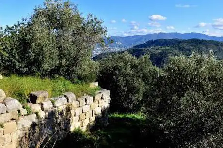Photo de ingresso parco archeologico Tindari