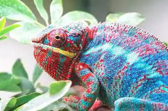 Photo de Pili Palas Nature World