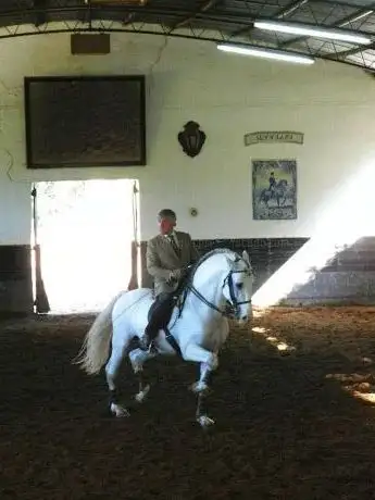 Photo de Quinta do Brejo - Escola de Equitação