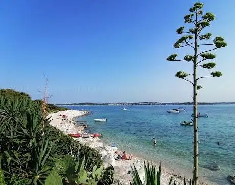 Photo de Boat Excursions 