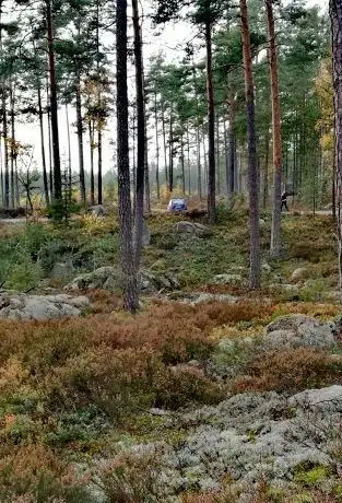 Photo de Lasse-Maja grottan