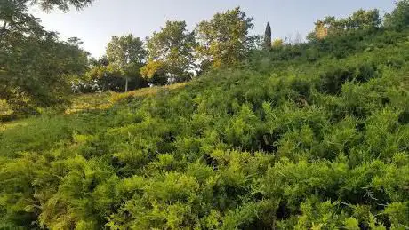 Photo de Parque de las Delicias