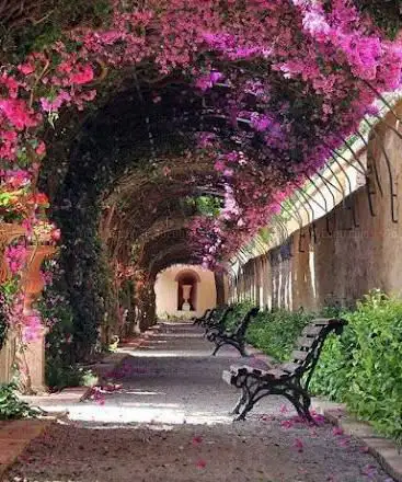 Photo de Jardà de Montfort