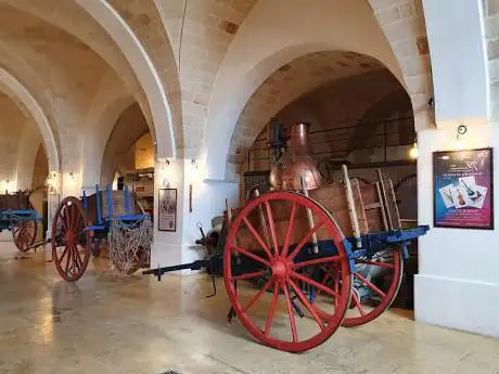 Photo de The Museum of Primitivo Wine