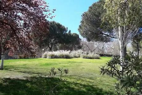Photo de Alcazaba Park