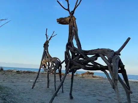 Photo de Sculture con legni