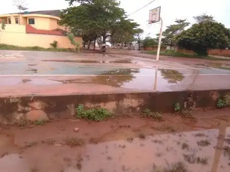 Photo de Terrain de basket-ball da-zone