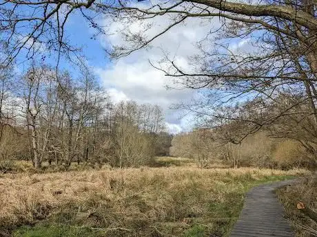 Photo de Ashford Hill National Nature Reserve