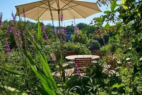 Photo de Foliage garden design GmbH