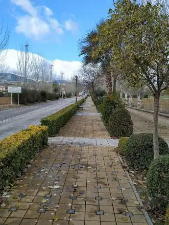 Photo de Paseo de la Reina SofÃa