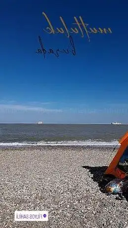 Photo de Filyos Kuş Cenneti