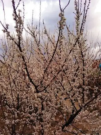 Photo de Ömer Efendi Parkı