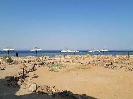 Photo de Laguna Beach General