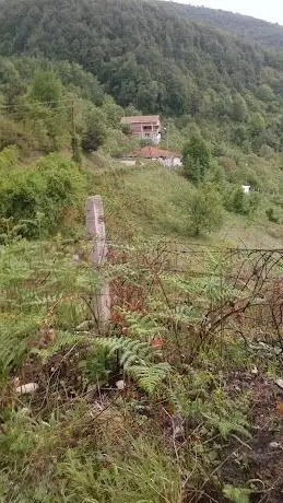 Photo de Çocuk Bahçesi