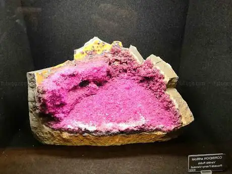 Photo de Musée de minéralogie de l'école des Mines