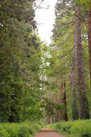 Photo de Orton Longueville Wood