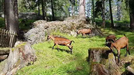 Photo de Calfosch / Corvara Zoo