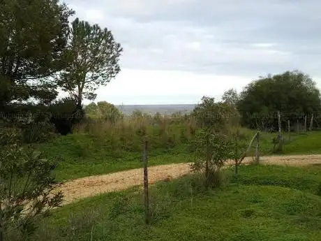 Photo de Area attrezzata Santissima Trinità diga Delia