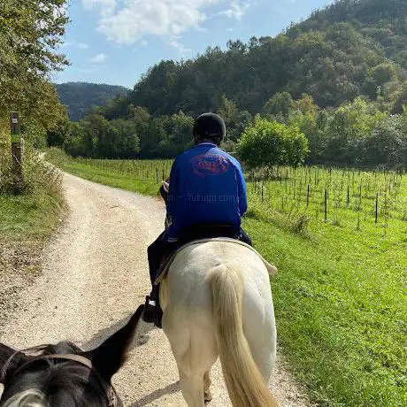 Photo de A.S.D. RANCH VAL DI RONCH